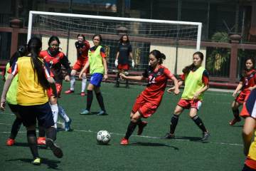 官方：奥克兰FC38岁中场塔德宣布退役｜乐玩（配图示意）